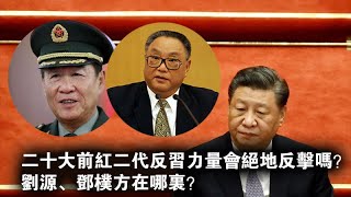 二十大前红二代反习力量会绝地反击吗？刘源、邓朴方在哪里？