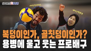 외국인 용병 최초 주장까지?! 프로배구를 흔드는 용병들 | 2024.11.14. 오늘의 스포츠