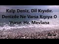 kalp deniz dil kıyıdır. denizde ne varsa kıyıya o vurur. hz. mevlana