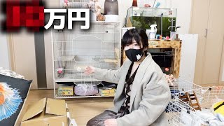 アクアリウム東京でお迎えしました｜生き物即売会イベント