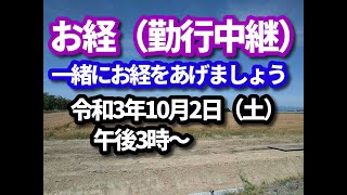 お経（勤行）ライブ配信　ご一緒にお経をあげましょう（※肆誓偈《重誓偈》から、往生礼讃を中心として）。お経の後は、少しの法話と終活相談もいたします。