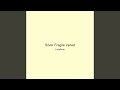 Silver Fragile Velvet