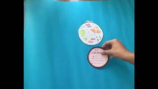 Interphase AP Biology Project
