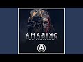Amasiko (Epitome Resound Remix)