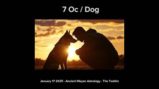 Mayan Astrology Reading ✨ January 17 2025: 7 Dog in Maya Tzolkin Calendar #astrology  #tzolkinmaya