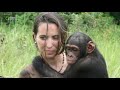 this chimp was about to be returned to the wild – but her unexpected reaction left everyone stunned