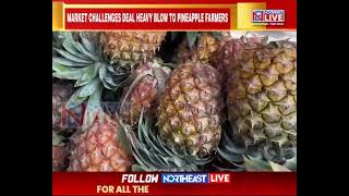 Mizoram Pineapple Farmers in Crisis: 4,000 Quintals Left to Rot, Rs 40 Lakh Lost