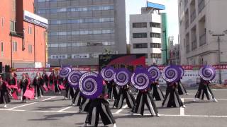 チーム☆利ゑ蔵・ファイナル＠2015　木更津舞尊・東部審査会場