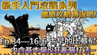 貓咪大戰爭 新手向攻略Ep.34—16-6 古早的比基尼—★☆無課金攻略☆★