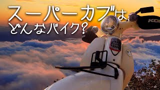 スーパーカブはどういうバイクなのか？個人的に感じる最大の魅力についての話