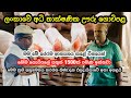 ලංකාවේ අධි තාක්ෂණික ඌරු ගොවිපළ🐖/Hi-Tech Pig Farming in Sri Lanka 🐷#livestock #pigfarmvideo #agro