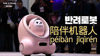 [每周头条] CES 2025의 반려로봇, 알에서 나온 ‘에이미’