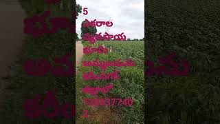 5 acrs land for sale karimnagar District# siddipet#karimnagar #hyderabad #shorts