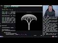 Fractal Trees in C