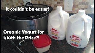 Organic Whole Milk Crock Pot Yogurt - Large Family Cooking