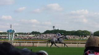 競馬 G1 2010年 第5回 ヴィクトリアマイル ブラボーデイジー 返し馬