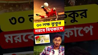 ফুটবল বিশ্বকাপের জন্য মে*রেফেলা হচ্ছে ৩০ লক্ষ কুকুর