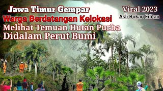 Gempar!! Ditemukan Hutan Purba Didalam Perut Bumi Daerah Lamongan