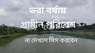 ভরা বর্ষায় গ্রামীণ পরিবেশ | Rural environment in full monsoon | Natural view