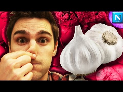 How To Get Rid of Garlic Breath How To Get Rid of Garlic Breath