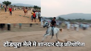 टोडपुरा मेले मे शानदार ऊँट vs घोड़ी दौड़ प्रतियोगिता ||camel reac|horse race 🏁|#horse#camle#trending