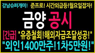 [금양 주가 전망]유증철회!해외자금유치성공!외인1400만주!단기5만원돌파!시간외급등!월요일부터!폭등시작!