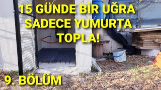 SÜS KÜMESİ YAPIMINDA SON NOKTA. OTOMATİK SULUKLARA DEPO YAPIMI.BETONARME KÜMES YAPIMI SERİSİ 9.BÖLÜM