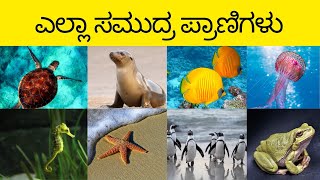 All Water Animals Names in Kannada.ಎಲ್ಲಾ ಸಮುದ್ರ ಪ್ರಾಣಿಗಳ ಹೆಸರು ಕನ್ನಡದಲ್ಲಿ. @ SCHOOL BUS