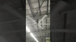 WATCH HELICOPTER ROTORS SIZE CEILING FAN @ Decathlon | Biggest FAN #shorts #biggestfan