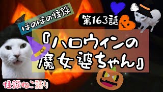 【ほのぼの怪談】【猫が語る不思議な話】【猫動画】怪談ねこ語り　第163話『ハロウィンの魔女婆ちゃん』