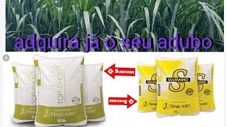 aduboTop pHos e suLFAMMo no plantio de milho 🌽