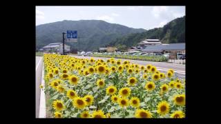 平谷村-信州縦断 元気なふるさと収穫祭めぐり2015