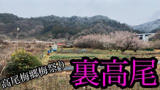 裏高尾、高尾梅郷梅祭りへ！雪とお花見と裏高尾と【東京都八王子市】