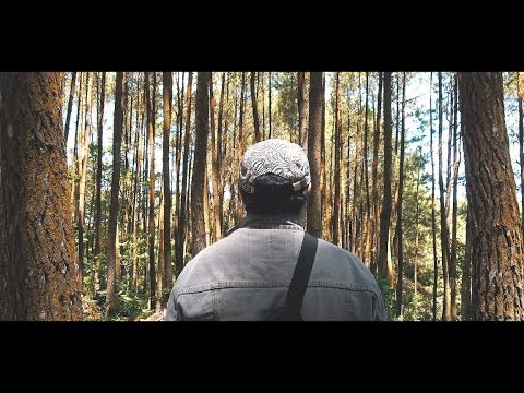 Matthew Sayersz Mewangi Bersemi