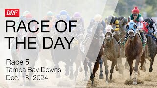 DRF Wednesday Race of the Day | Tampa Bay Downs Race 5 | December 18, 2024