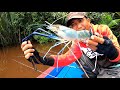 Tips mancing udang ketika air dingin dan pasang besar, hasil memuaskan..