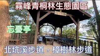 #霧峰青桐林生態園區￼#北坑溪步道#樟樹林步道￼