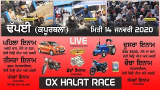 🔴[Live] Dhapai (Kapurthala) Ox Halat Race 14 Jan 2020