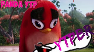 YTPBR PASSAROS PUNH*TEIROS poop angry birds