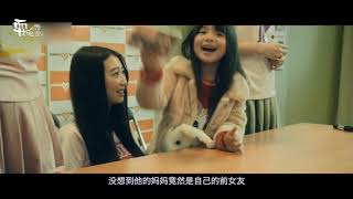 解说【后街少女】搞笑 | 黑社会大佬为惩罚小弟，把他们变为萌妹子，成立少女偶像组合 剧情 电影 影评