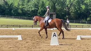 FLS Major Bounce, TXR May 2023 Dressage