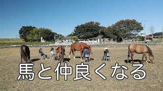 馬と仲良くなる【乗馬・馬術】Love, peace and horses【HorseCommunicationJapan】