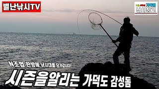 태풍같은바람속에만난 멋진감성돔