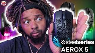 SteelSeries Aerox 5 Review | The CHAMPION Of Gaming Mice!