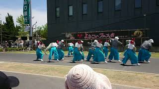 よさこいフェスタin新川市まつり2018 15 わん！～WAN～ 山口県宇部市新天町1丁目 20180505_122206