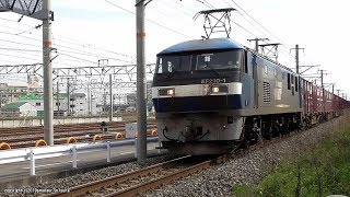 JR貨物　EF210 1号機とEF210 315号機が牽引する2本の貨物列車（R1.5.10)