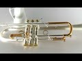 quick video of carolbrass custom bb trumpet ctr 8880l glt d bb srlslb pib l