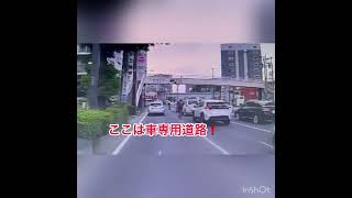 仙台市の自転車専用道路を無視して走る人々😹