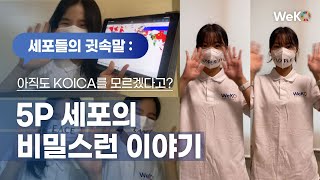 [KOICA WeKO] KOICA 5P 세포들의 속닥속닥, 들어볼래? | 위코윗코