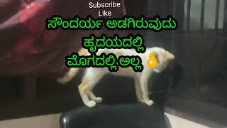 ಸತ್ಯವಾದ ಮಾತು, motivation YouTube short video,